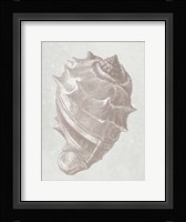 Coastal Bliss 2 Framed Print