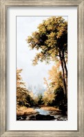 Hidden Creek Fine Art Print