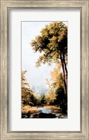 Hidden Creek Fine Art Print