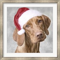 Christmas Pup 1 Fine Art Print