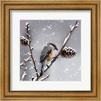 Snow Bird Fine Art Print