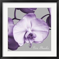 Thankful Orchids Fine Art Print