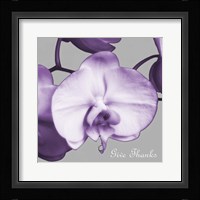 Thankful Orchids Framed Print
