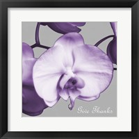 Thankful Orchids Fine Art Print