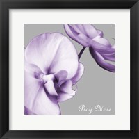 Praying Orchids Fine Art Print