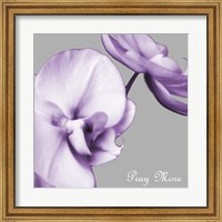 Praying Orchids Fine Art Print