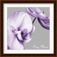 Praying Orchids Fine Art Print