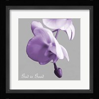 Godly Good Orchids Framed Print