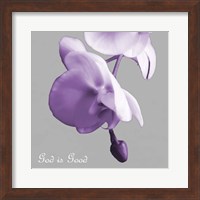 Godly Good Orchids Fine Art Print
