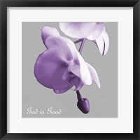 Godly Good Orchids Fine Art Print