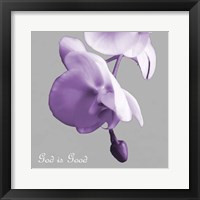 Godly Good Orchids Fine Art Print