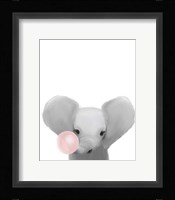 Elephant Bubble Gum. Framed Print