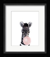 Baby Zebra Bubble Gum Framed Print