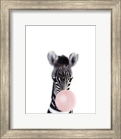 Baby Zebra Bubble Gum Fine Art Print