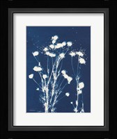 Alpine Flower VI Framed Print