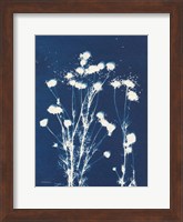 Alpine Flower VI Fine Art Print
