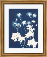 Alpine Flower V Fine Art Print