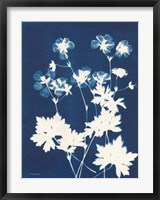 Alpine Flower V Fine Art Print
