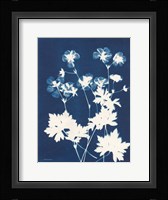 Alpine Flower V Framed Print
