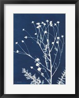Alpine Flower IV Fine Art Print