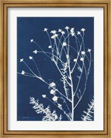 Alpine Flower IV Fine Art Print