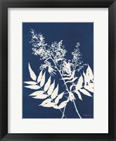 Alpine Flower III Framed Print