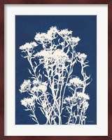 Alpine Flower II Fine Art Print