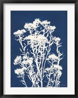 Alpine Flower II Fine Art Print