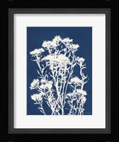 Alpine Flower II Framed Print
