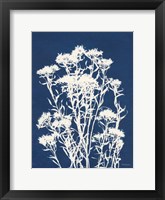 Alpine Flower II Framed Print