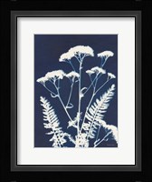 Alpine Flower I Framed Print