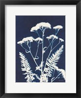 Alpine Flower I Framed Print