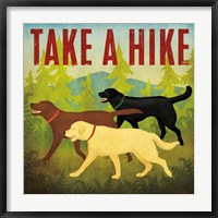Take a Hike Lab II Fine Art Print
