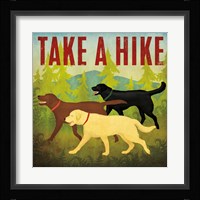 Take a Hike Lab II Framed Print