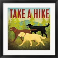 Take a Hike Lab II Framed Print