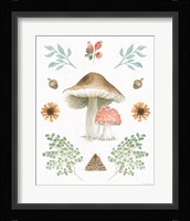 Forest Finds XI Fine Art Print