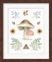Forest Finds XI Fine Art Print