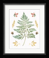 Forest Finds IX Framed Print