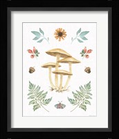 Forest Finds X Fine Art Print