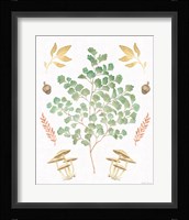 Forest Finds VIII Framed Print