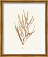 Leaf and Stem VII Fine Art Print