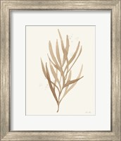 Leaf and Stem VII Fine Art Print