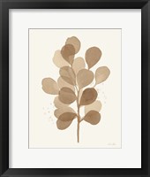 Leaf and Stem V Framed Print