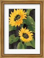 Sunny Blooms on Black Fine Art Print