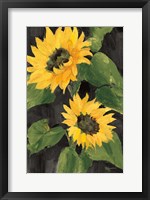 Sunny Blooms on Black Fine Art Print