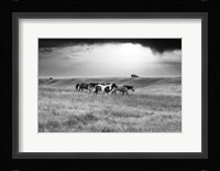 Sunset Rains Framed Print