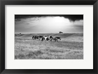 Sunset Rains Fine Art Print