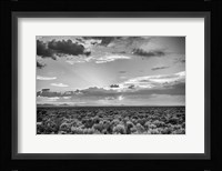 American Sage Fine Art Print