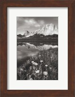 Pronghorn and Dragon Head Peaks BW Fine Art Print