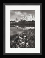 Pronghorn and Dragon Head Peaks BW Fine Art Print